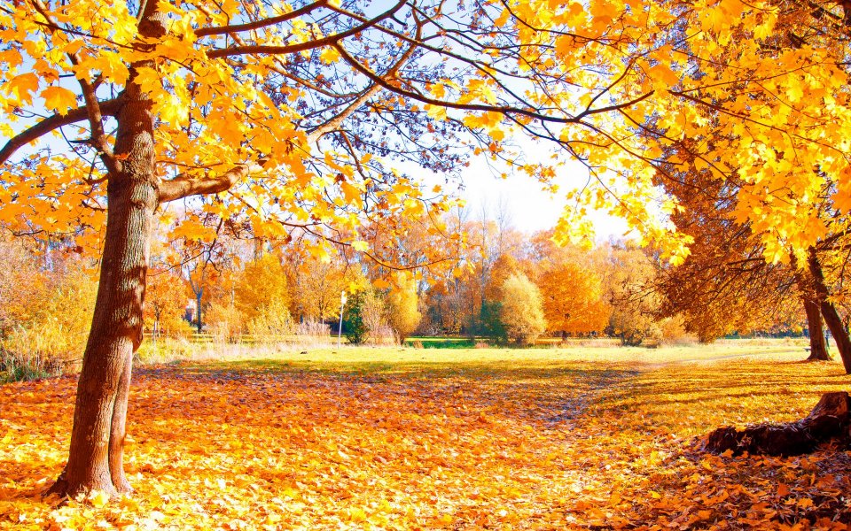 6 propositions pour votre automne sur le Lac de Garde