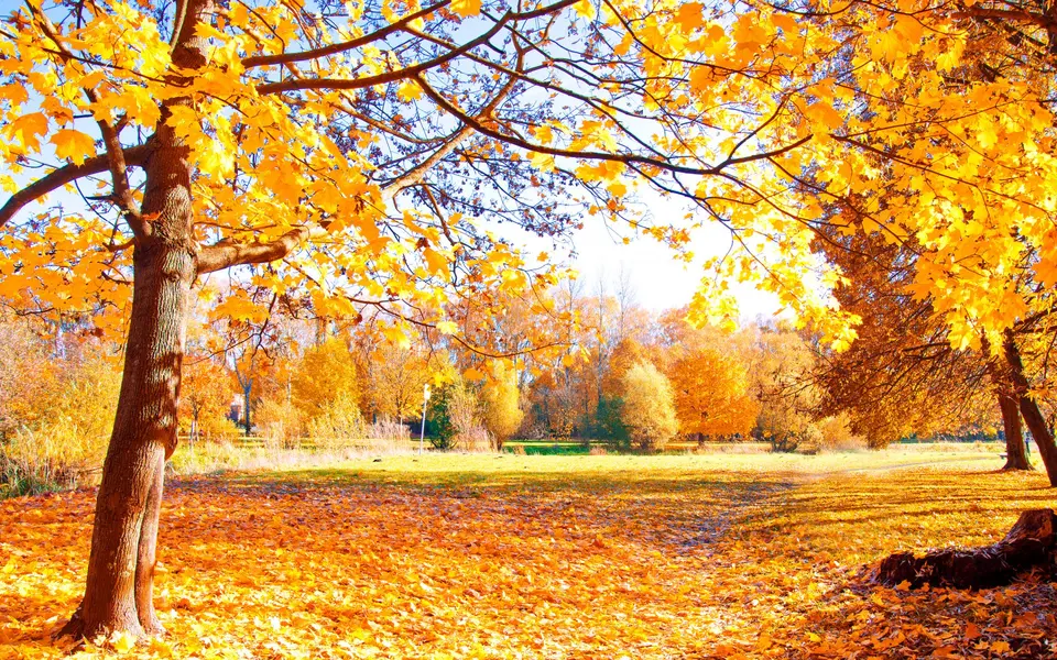 6 Ideen für Herbsttage am Gardasee