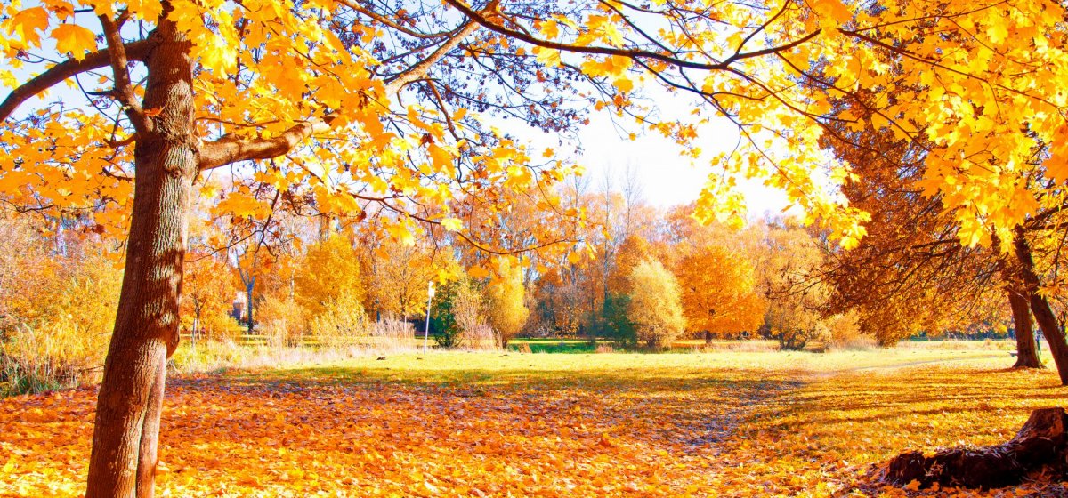 6 ideas about what to do in autumn on Lake Garda 6 ideas about what to do in autumn on Lake Garda