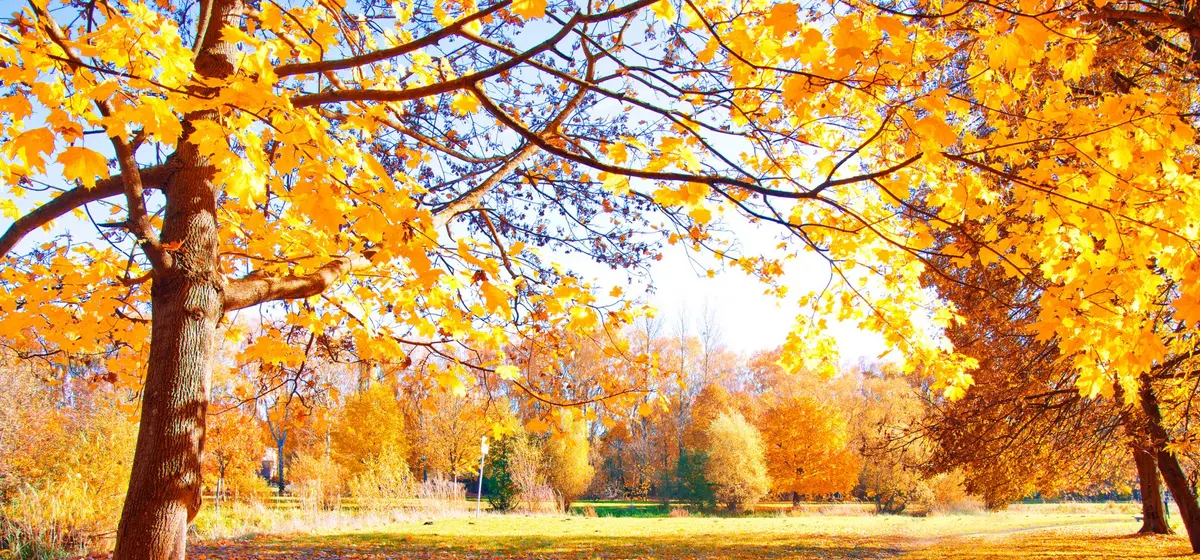 6 propositions pour votre automne sur le Lac de Garde